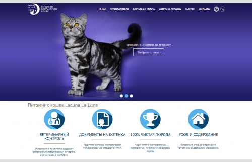 Сайт питомника кошек в Днепре