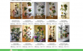Интернет магазин подставок для цветов